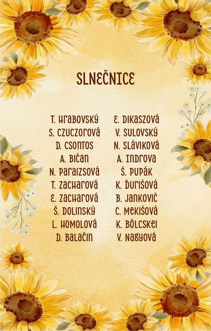 SLNECNICE_OK.JPG