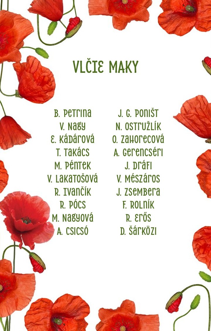 VLCIE_MAKY_OK.JPG